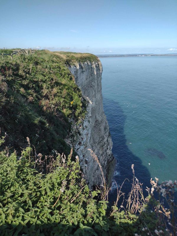 Picture of Final Yorkshire Wold Heritage Way Section - Bempton to Filey